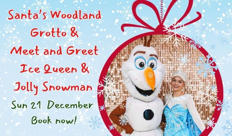 Meet & Greet Ice Queen and Jolly Snowman article image
